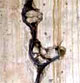 Chambre - avant les finitions